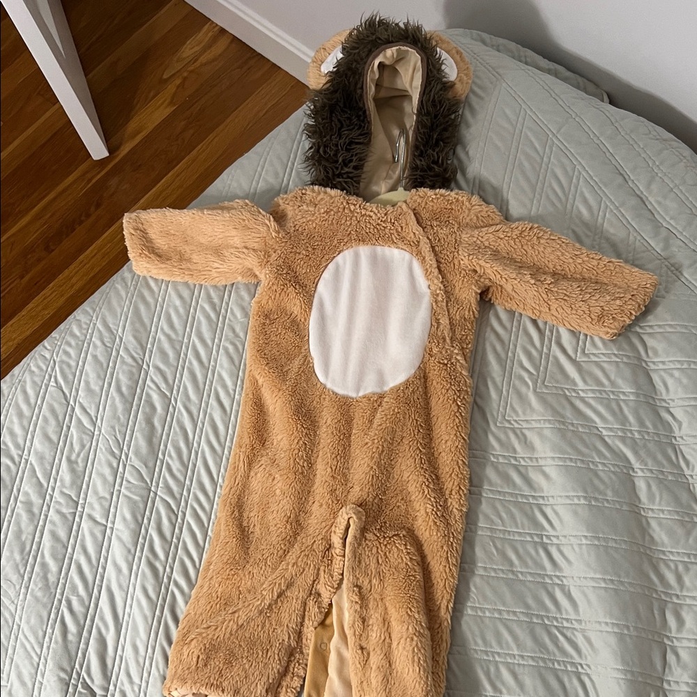 Pottery Barn kids Teddy Bear costume